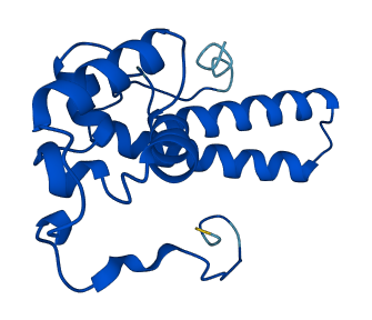 RPS13 3D structure