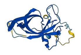 RPS11 3D structure
