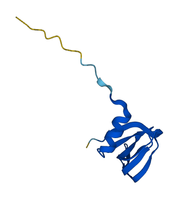 SNRPE 3D structure