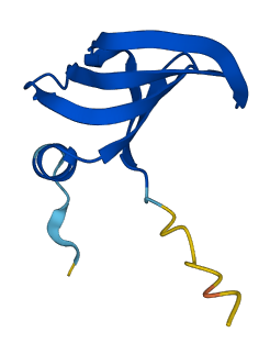 SNRPF 3D structure