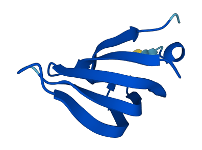 SNRPG 3D structure