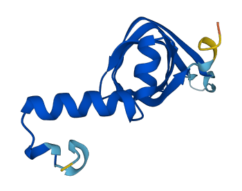 SNRPD2 3D structure