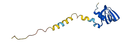 SNRPD3 3D structure