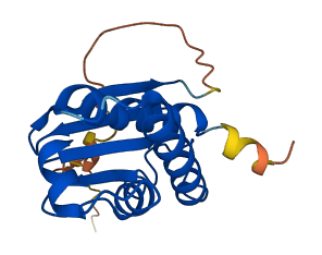 BTG1 3D structure