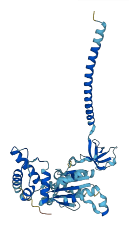PSMC6 3D structure