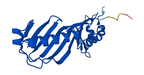 TBPL1 3D structure