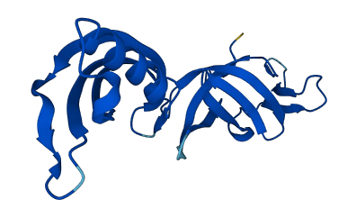 POLR2G 3D structure