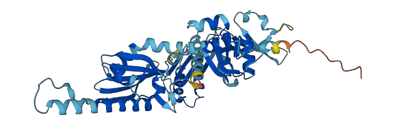 ETF1 3D structure