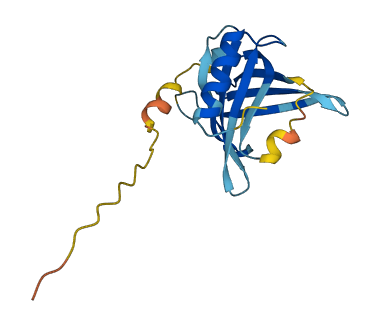 LCN6 3D structure
