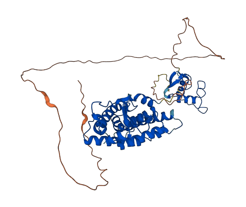 ESRRG 3D structure