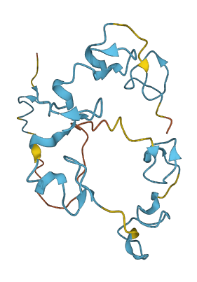 CNBP 3D structure