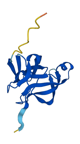 YPEL5 3D structure