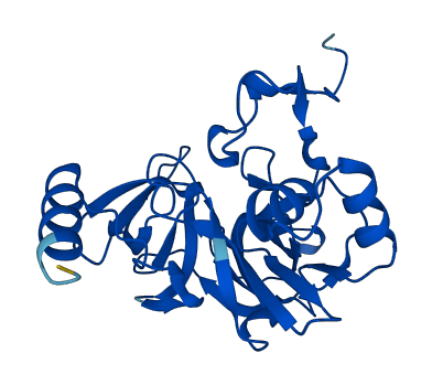 RPS4X 3D structure
