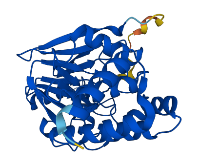 PPP2CB 3D structure