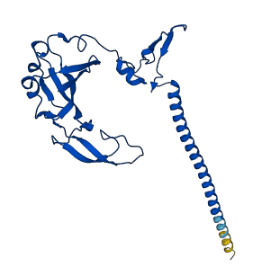 RPS6 3D structure