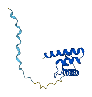 H2BC4 3D structure