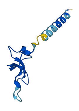 Wfdc18 3D structure