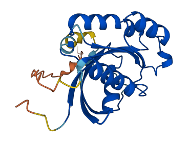 RAB1A 3D structure