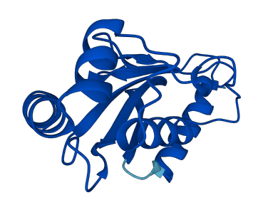 UBE2D2 3D structure