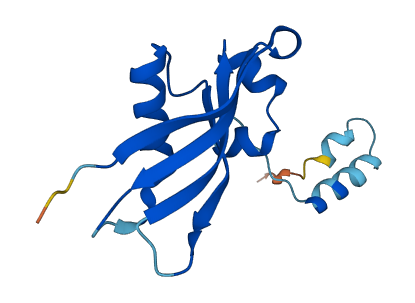RPS24 3D structure