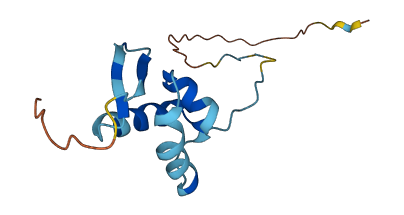 RPS25 3D structure