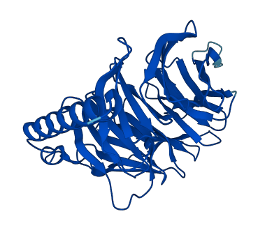 GNB1 3D structure
