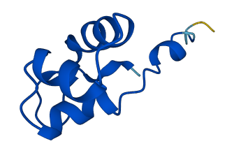 POLR2L 3D structure
