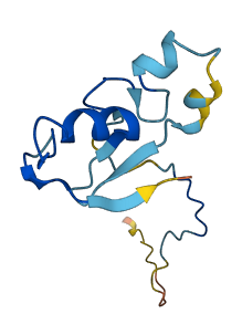 RBX1 3D structure
