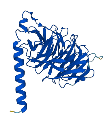GNB2 3D structure