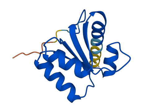RPL30 3D structure