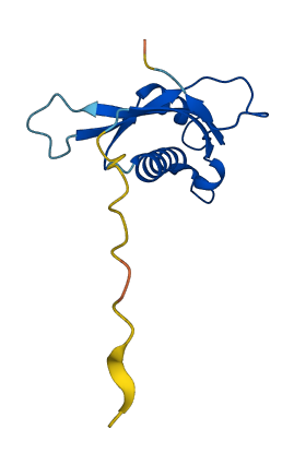 RPL31 3D structure