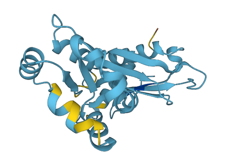RPL10A 3D structure