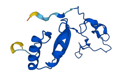 RPL32 3D structure