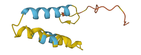BLCAP 3D structure
