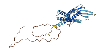 CACNG7 3D structure