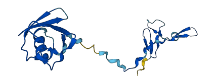 RPS27A 3D structure