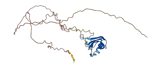 TRA2B 3D structure