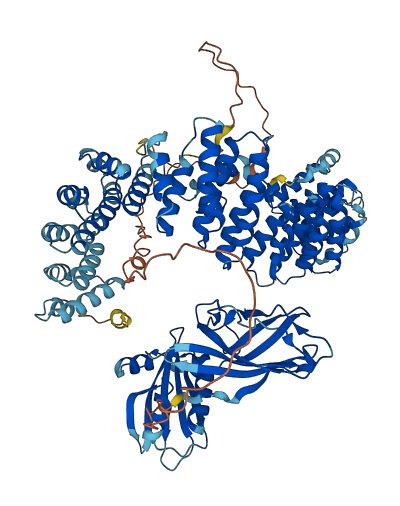AP2B1 3D structure