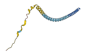 VAMP2 3D structure