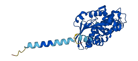 GNAI1 3D structure