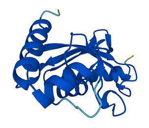 UBE2B 3D structure