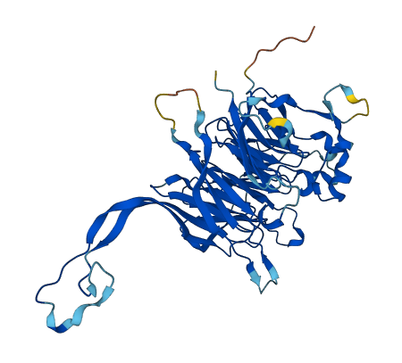 PPP2R2A 3D structure