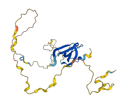 SNRPN 3D structure