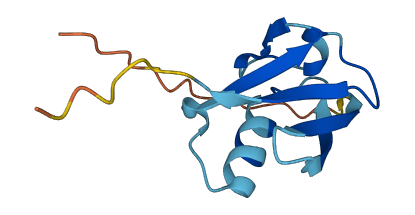 SUMO1 3D structure