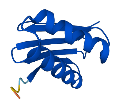 DYNLL1 3D structure