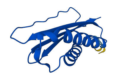 DYNLT1 3D structure