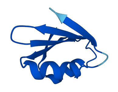 RPL38 3D structure