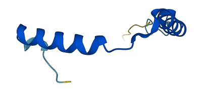 GNGT1 3D structure