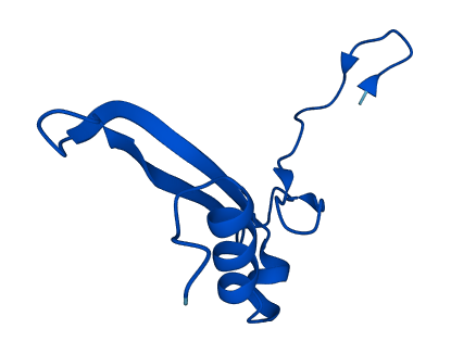RPS21 3D structure