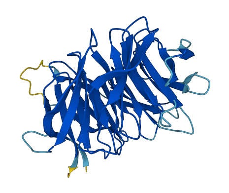 RACK1 3D structure